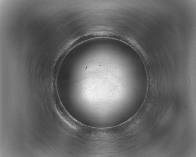 X0000064720533200602101126