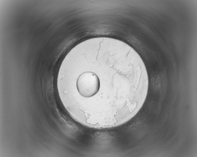 X0000064720534200602101126