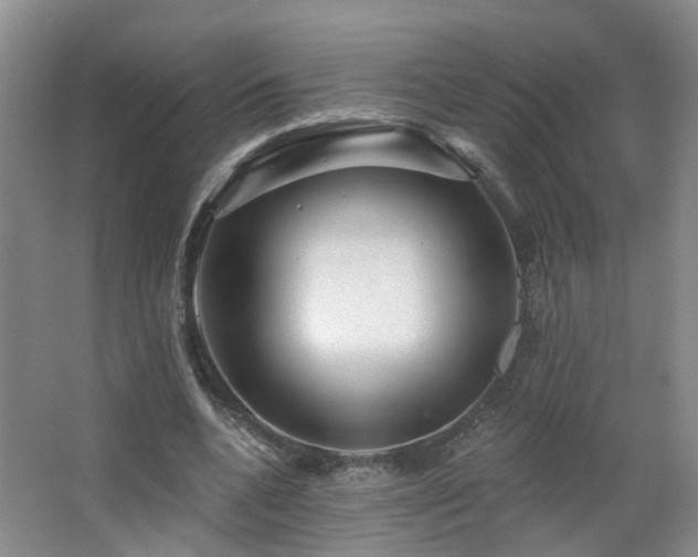 X0000064720536200602101126