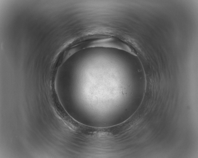 X0000064720539200602101126