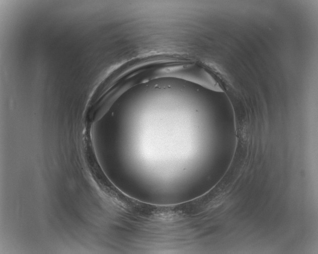 X0000064720540200602101126