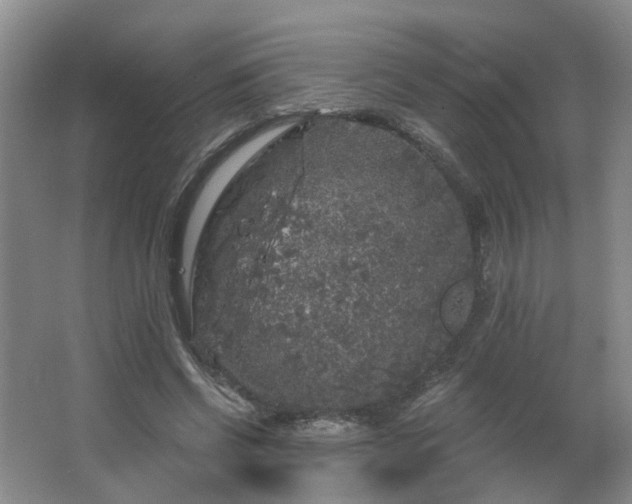 X0000064720542200602101126