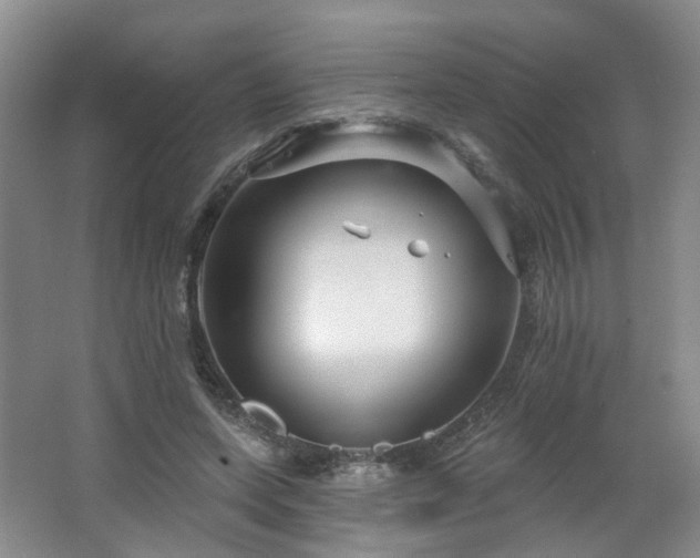 X0000064720543200602101126