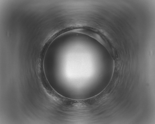 X0000064720544200602101126