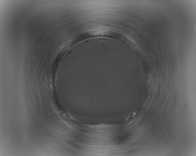 X0000064720547200602101126