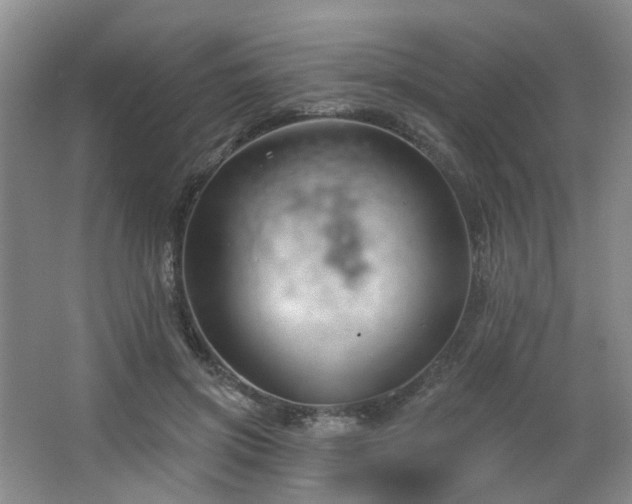 X0000064720549200602101126