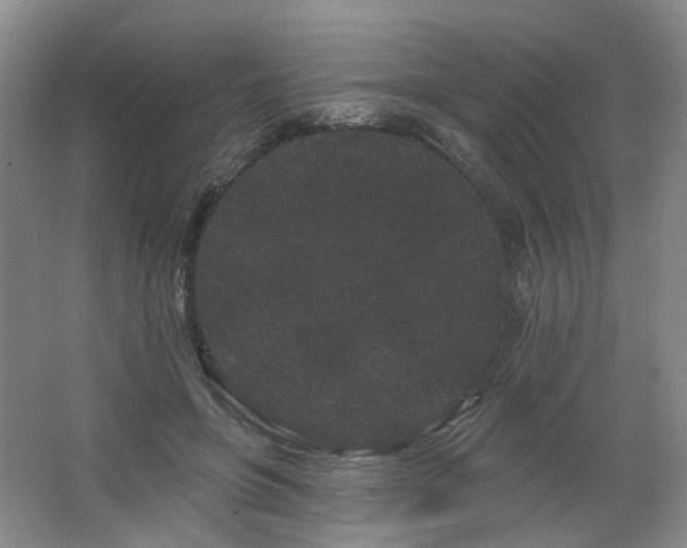 X0000064720551200602101126