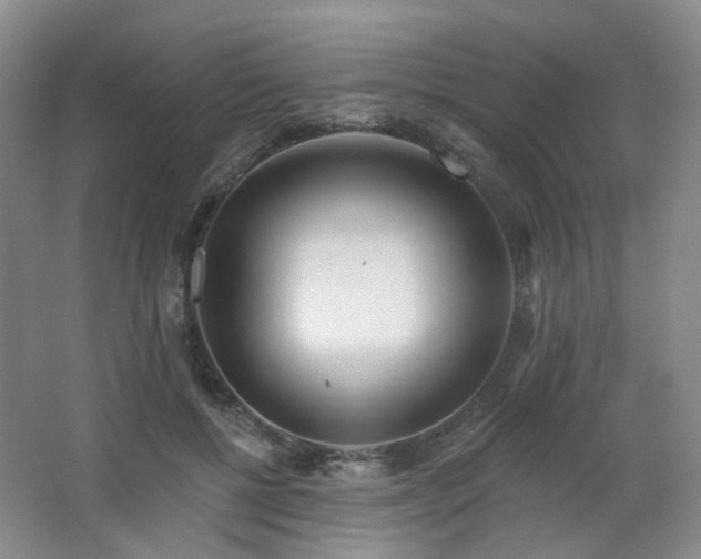 X0000064720552200602101127