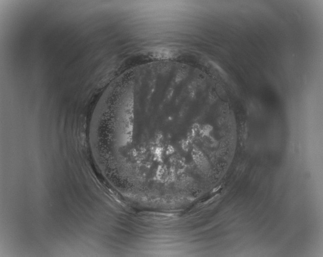 X0000064720553200602101127