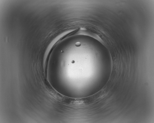 X0000064720554200602101127