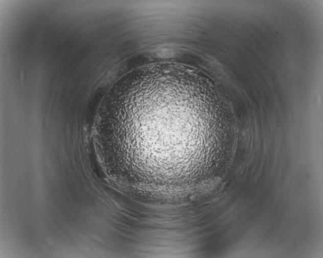 X0000064720555200602101127