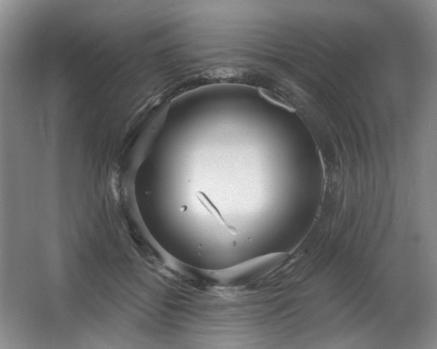 X0000064720556200602101127