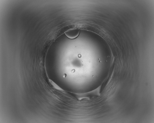 X0000064720557200602101127