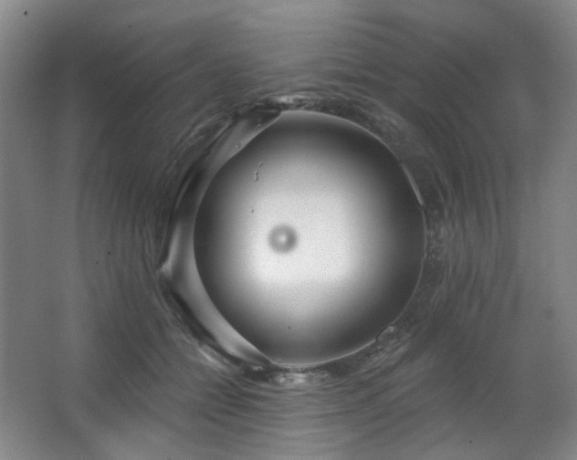 X0000064720558200602101127