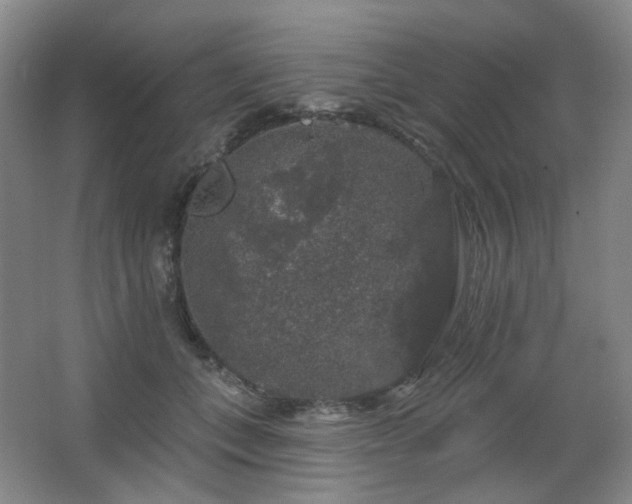 X0000064720559200602101127