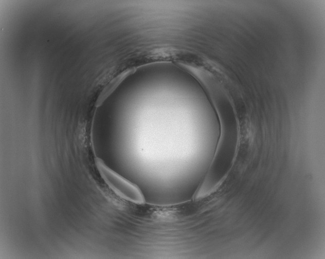 X0000064720560200602101127