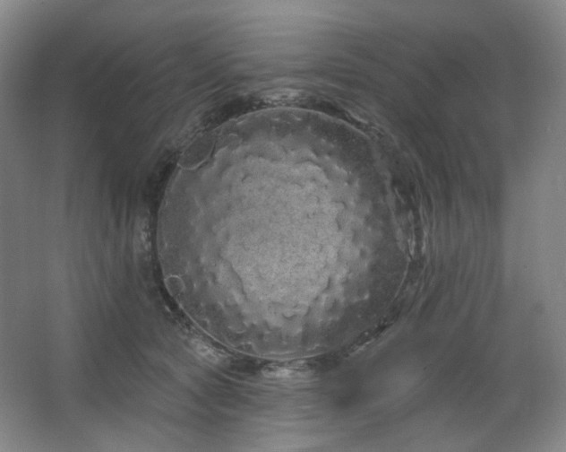 X0000064720561200602101127