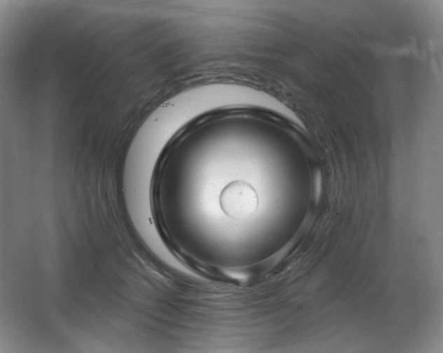 X0000064720562200602101127