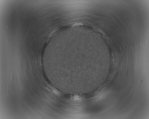 X0000064720565200602101127