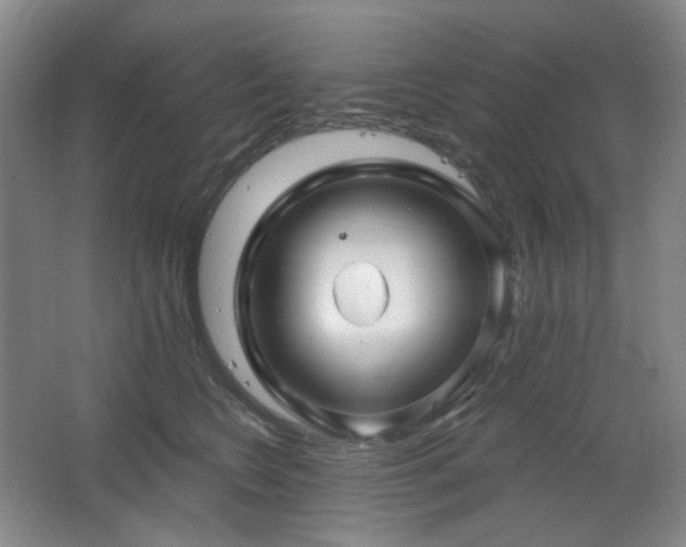 X0000064720566200602101127