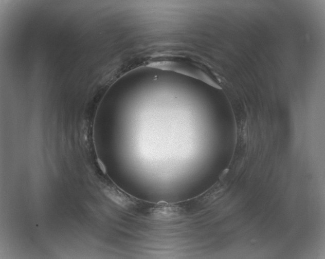 X0000064720567200602101127