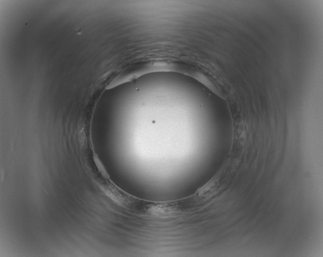 X0000064720568200602101127