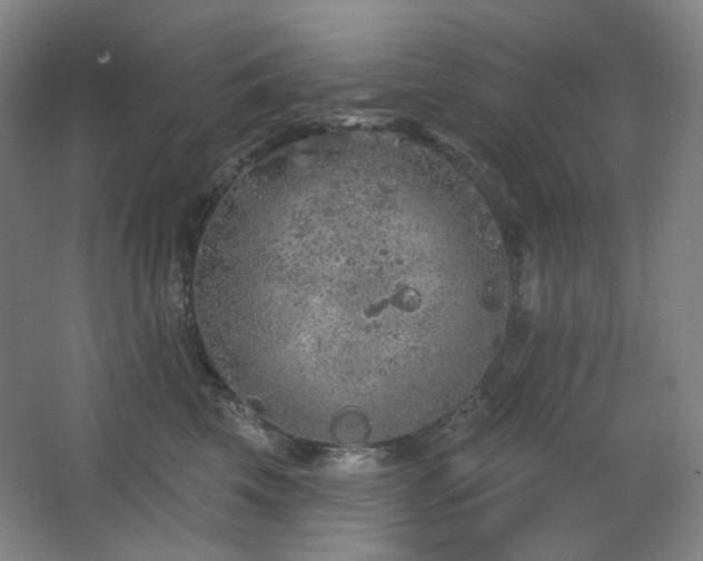 X0000064720569200602101127