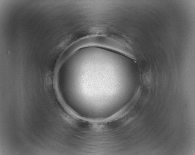 X0000064720570200602101127