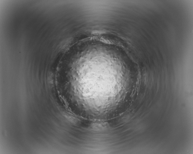 X0000064720571200602101127