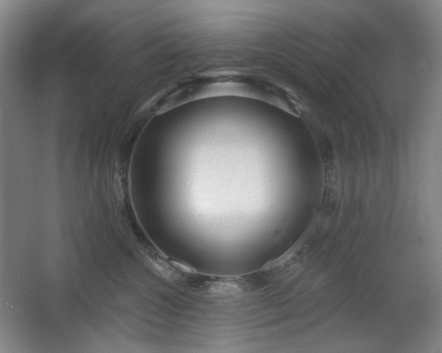 X0000064720572200602101127