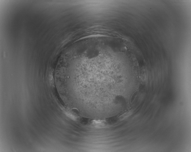 X0000064720573200602101127