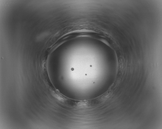 X0000064720574200602101127