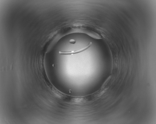 X0000064720575200602101127