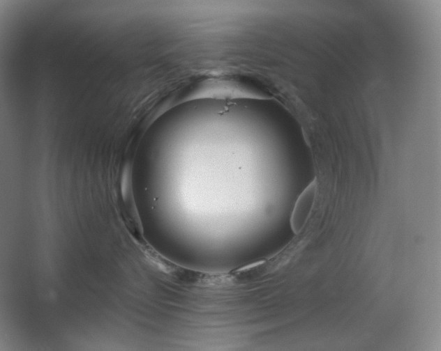 X0000064720576200602101127