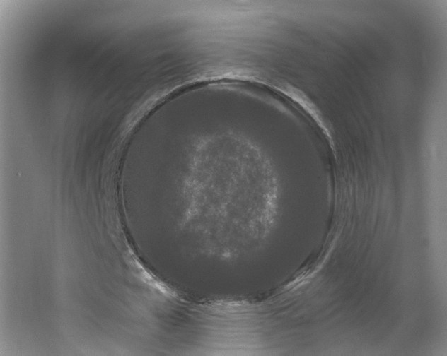 X0000064720577200602101126