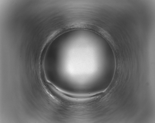 X0000064720578200602101126