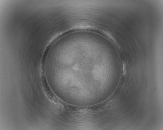 X0000064720579200602101126