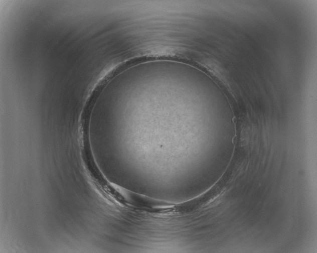 X0000064720584200602101126