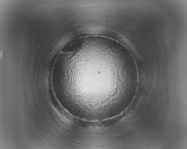 X0000064720586200602101126