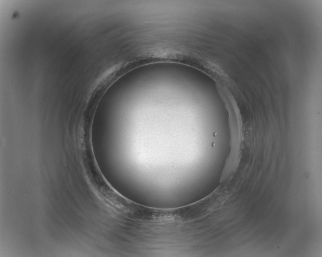 X0000064720587200602101126