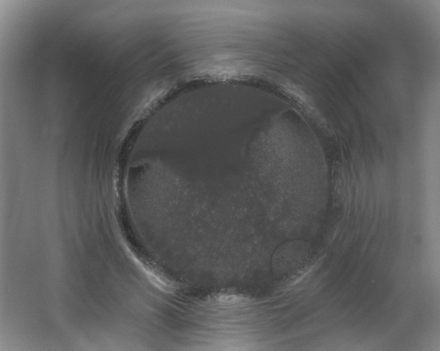 X0000064720590200602101126