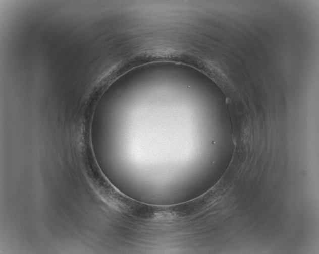 X0000064720591200602101126