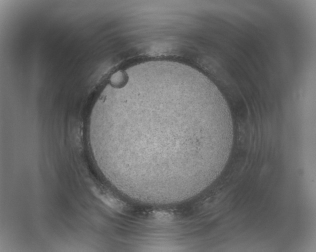 X0000064720592200602101126