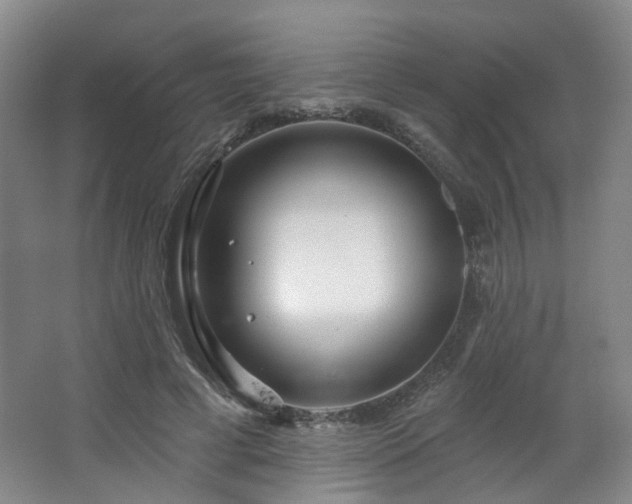 X0000064720593200602101126