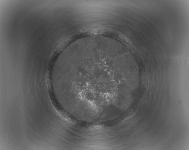 X0000064720594200602101126