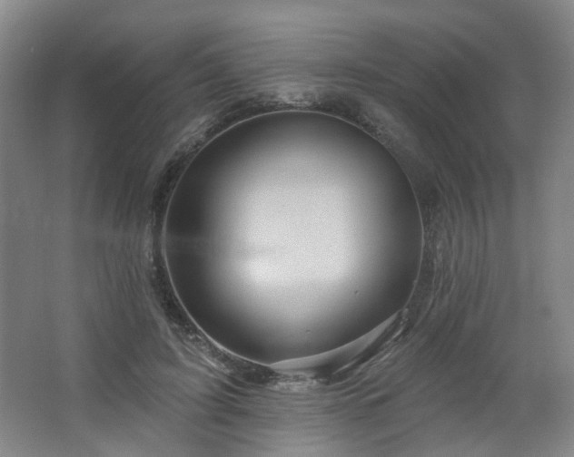 X0000064720595200602101126