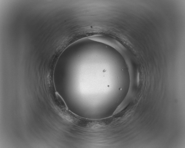 X0000064720597200602101126