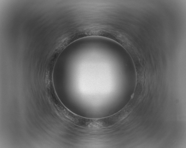 X0000064720599200602101126