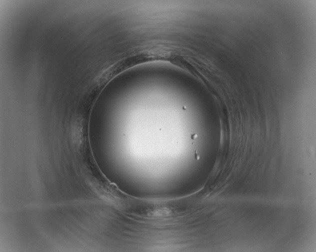 X0000064720600200602101126