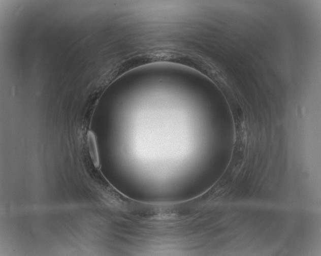 X0000064720601200602101126